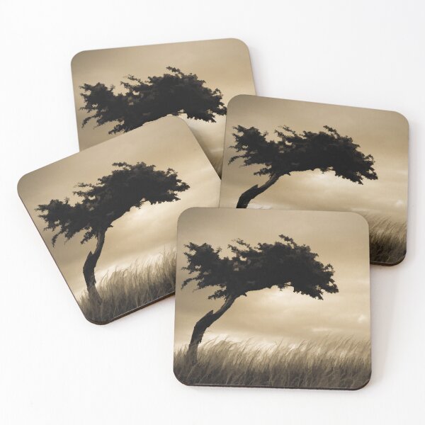 Item preview, Windswept designed and sold by DVJPhotography.
