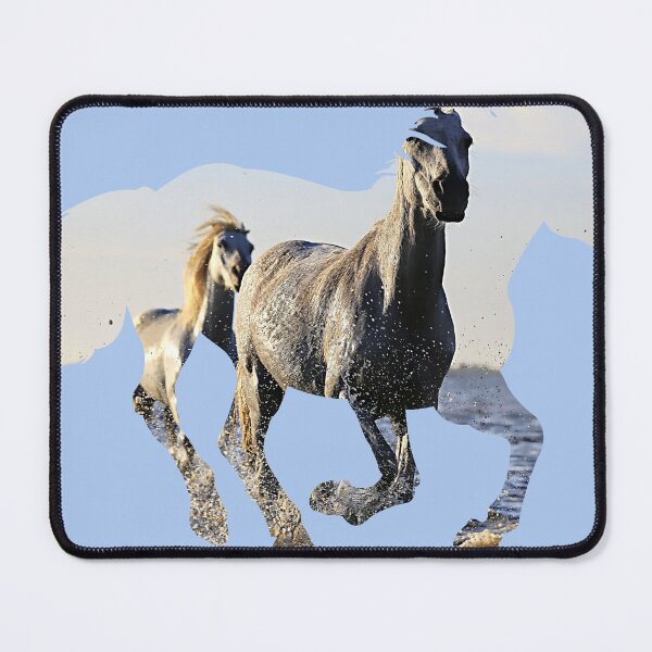 Item preview, Horses Running in Water in Silhouette designed and sold by No1Equestrian.