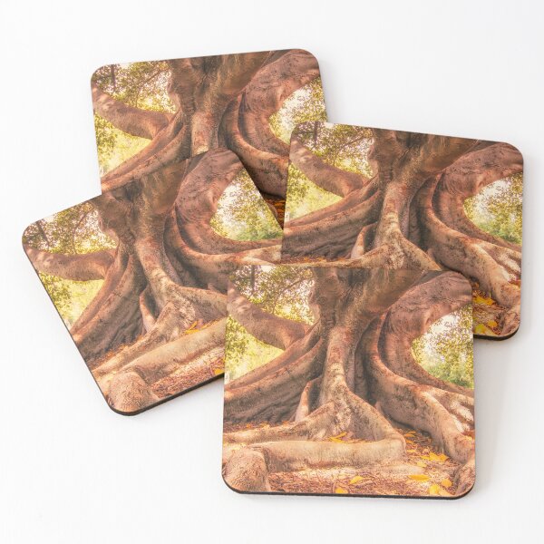 Item preview, Raíces de árbol designed and sold by DVJPhotography.