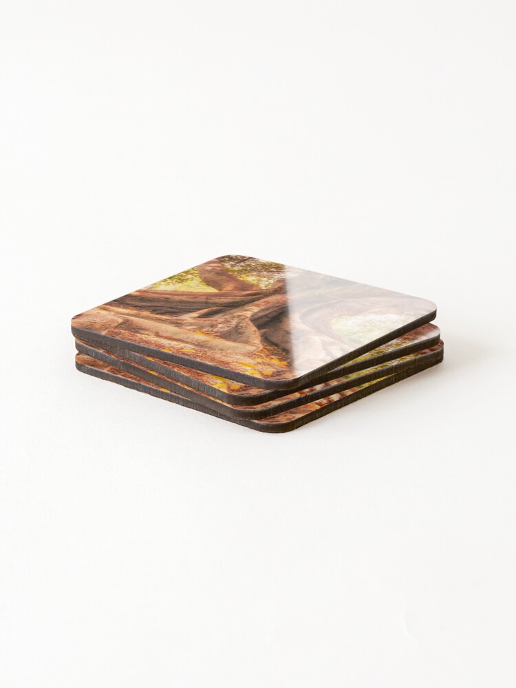 Thumbnail 4 of 5, Coasters (Set of 4), Tree Roots designed and sold by DVJPhotography.