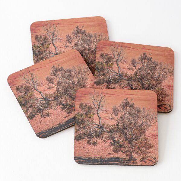 Item preview, Arid Shrub designed and sold by DVJPhotography.