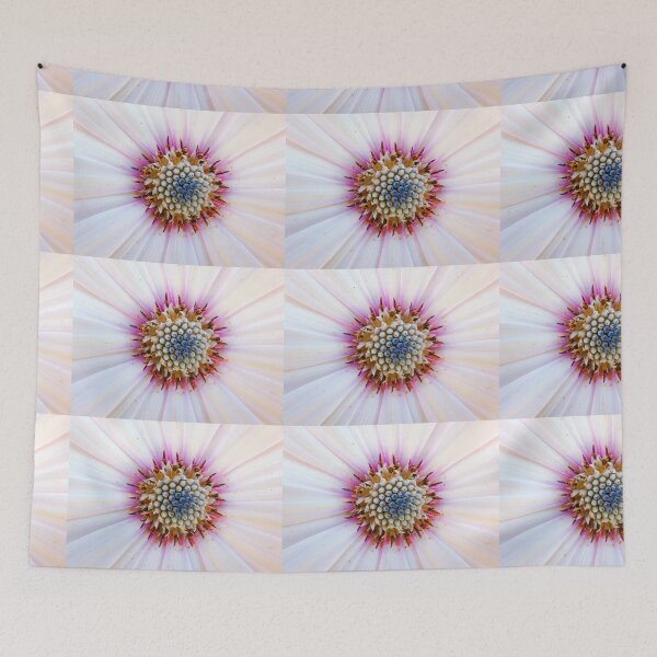 Item preview, African daisy designed and sold by BerylBez.