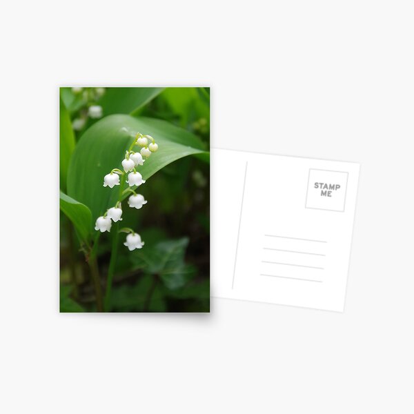 Item preview, Lily-of-the-Valley designed and sold by lezvee.
