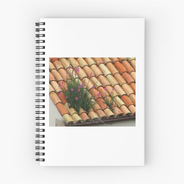 Item preview, Leeuwenbek ~ Snapdragon ~ Antirrhinum Majus  designed and sold by Hans Bax.