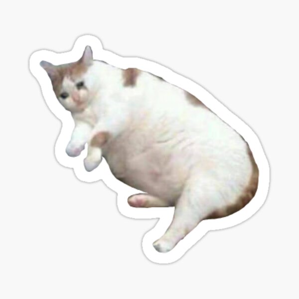 Sad Cat Stickers Wastickerapps For Android Apk Download