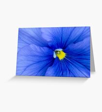 Blue pansy Greeting Card