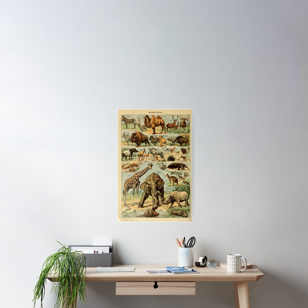 Item preview, Poster designed and sold by Speightsmate.