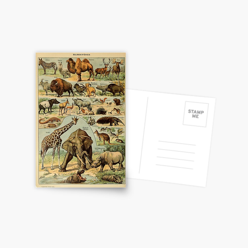 Item preview, Postcard designed and sold by Speightsmate.