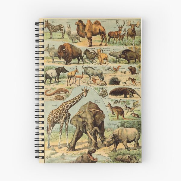 Item preview, mammiféres - french mammals - animals designed and sold by Harrison Dolan.