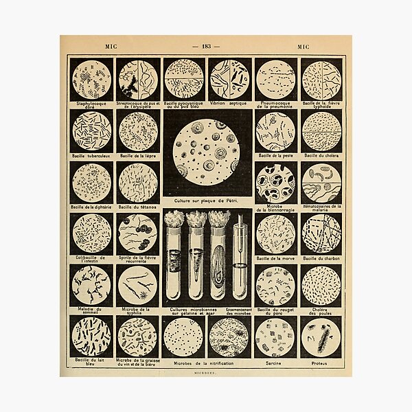 Item preview, culture des bactéries vintage français science journal designed and sold by Harrison Dolan.