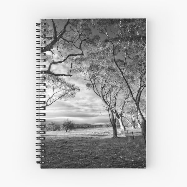 Item preview, Aranda Bushland Nature Reserve (4) designed and sold by Wolf Sverak Photography.