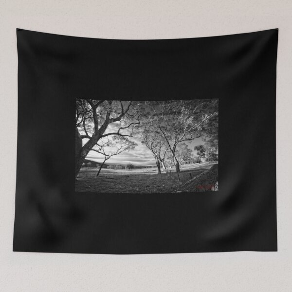Item preview, Aranda Bushland Nature Reserve (4) designed and sold by Wolf Sverak Photography.