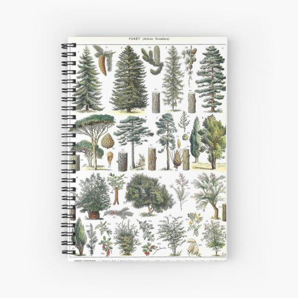 Item preview, Forrest - french illustrations designed and sold by Harrison Dolan.