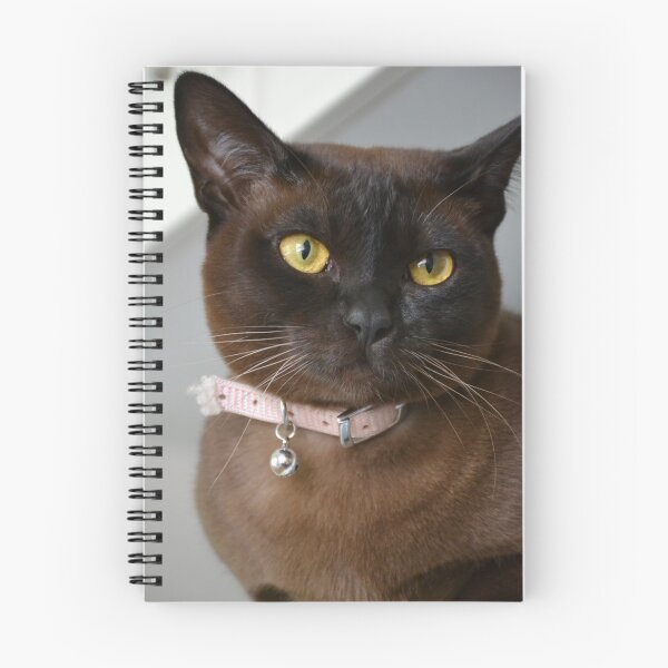 Item preview, Sweet Bella designed and sold by Boxkitty.