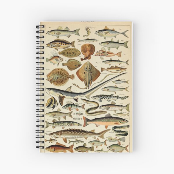 Item preview, Sea life designed and sold by Harrison Dolan.