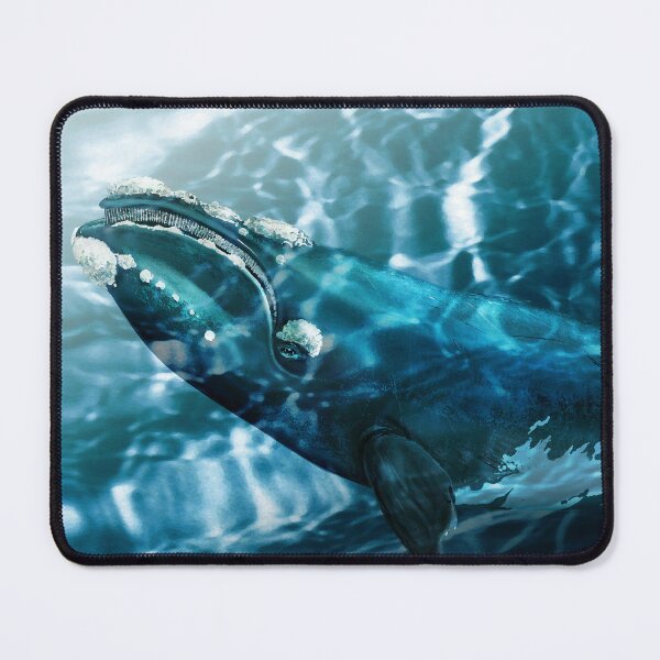 Item preview, Southern Right Whale designed and sold by Trish Hart.