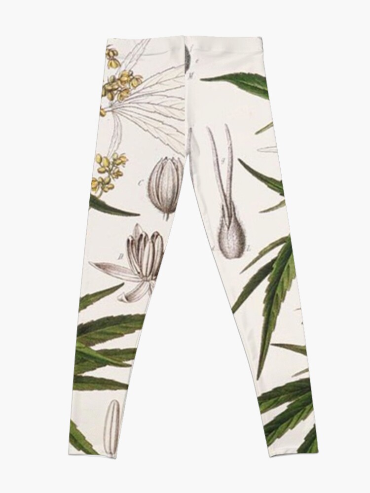 Alternate view of Cannabis Sativa - french botanical entry  Leggings