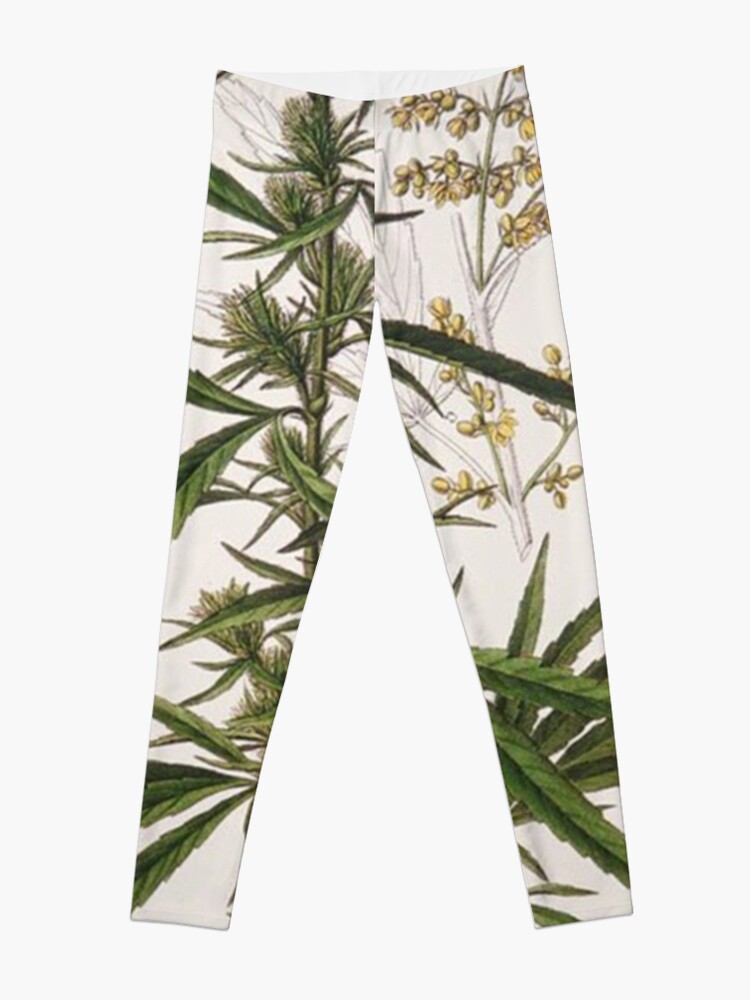 Alternate view of Cannabis Sativa - french botanical entry Leggings