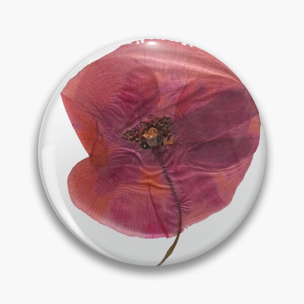 Artikelvorschau, Gepresste rote Mohnblume entworfen und verkauft von Gifts With Nature.