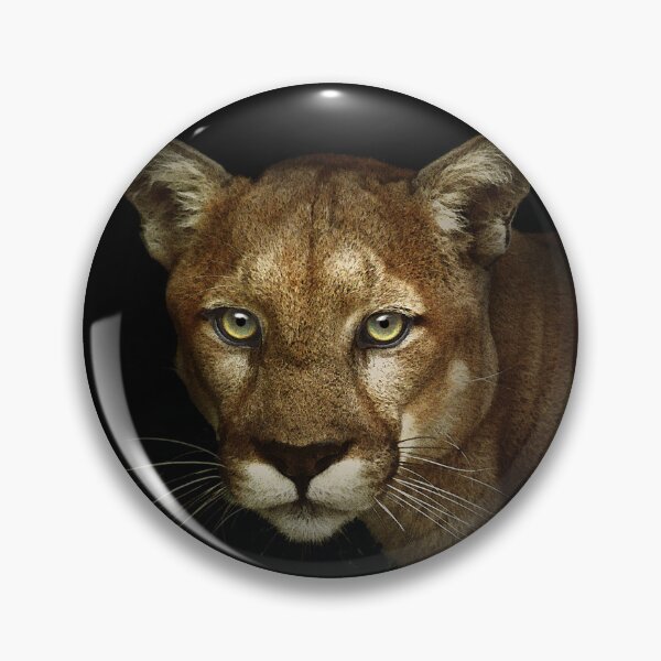 Item preview, Night visitor - Puma on black designed and sold by Trish Hart.
