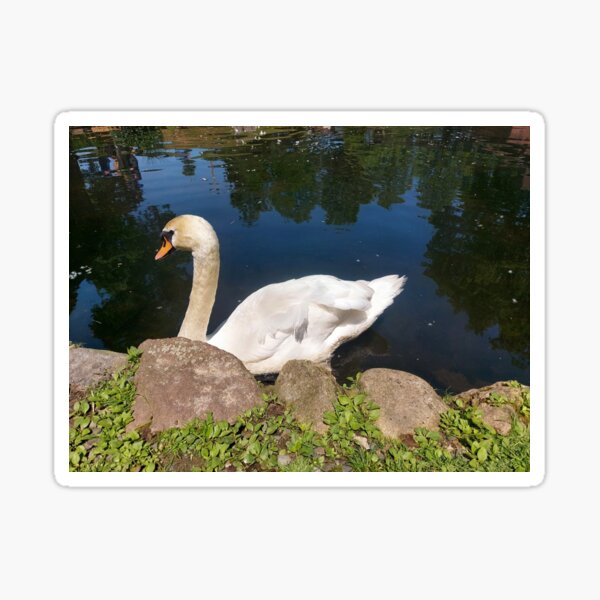 Item preview, Swan designed and sold by SilviPavlova.
