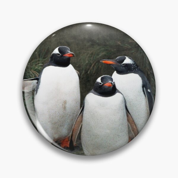 Item preview, Welcoming committee - gentoo penguins Macquarie Island designed and sold by Trish Hart.