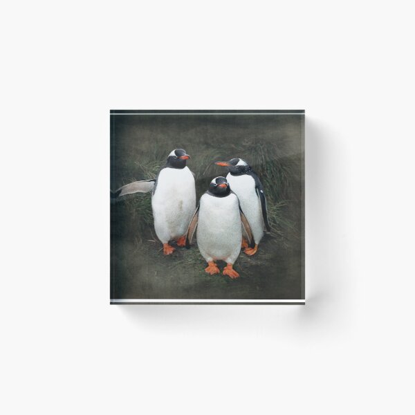 Item preview, Welcoming committee - gentoo penguins Macquarie Island designed and sold by Trish Hart.