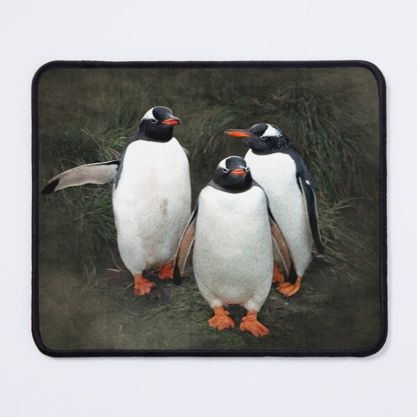 Item preview, Welcoming committee - gentoo penguins Macquarie Island designed and sold by Trish Hart.