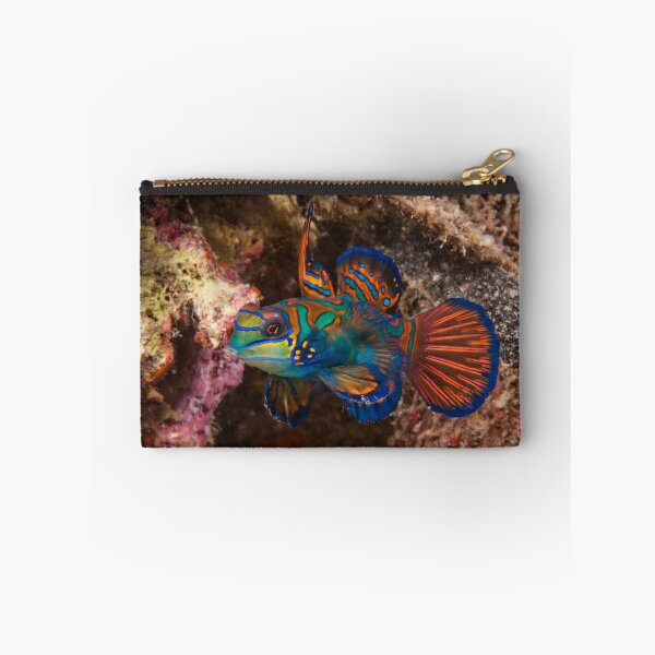 Item preview, Mandarin Fish, Wakatobi National Park, Indonesia designed and sold by Erik Schlogl.