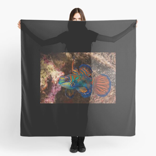 Mandarin Fish, Wakatobi National Park, Indonesia Scarf