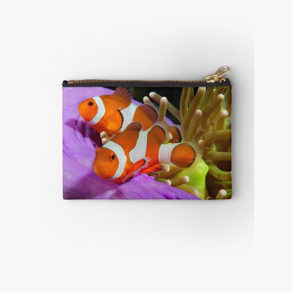 Artikelvorschau, Zwei falsche Clown Anemonefish, Kapalai, Sabah, Malaysia entworfen und verkauft von Erik Schlogl.