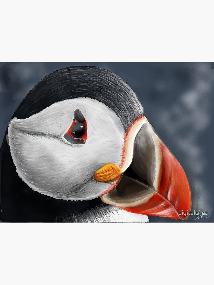 Puffin by digitalchet