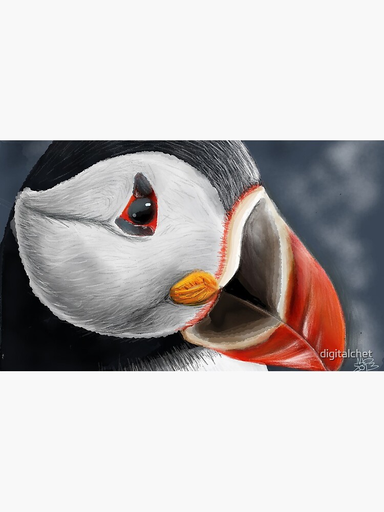 Puffin by digitalchet