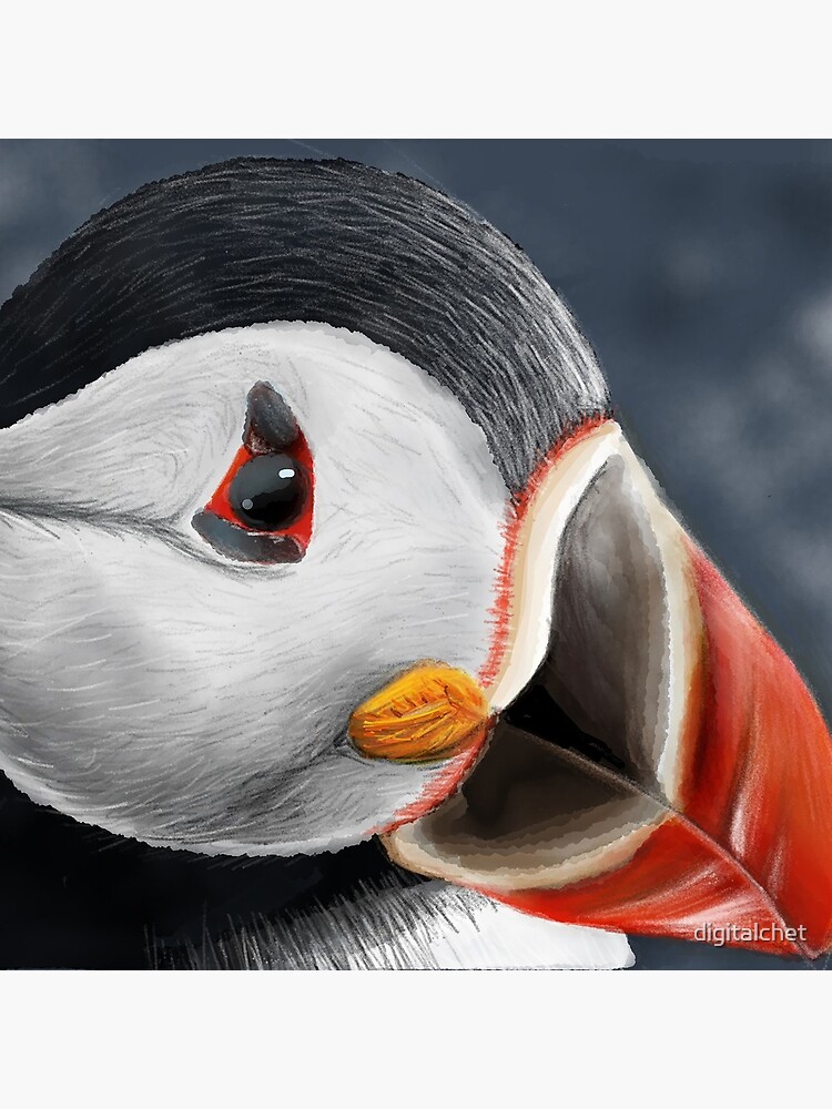 Puffin by digitalchet