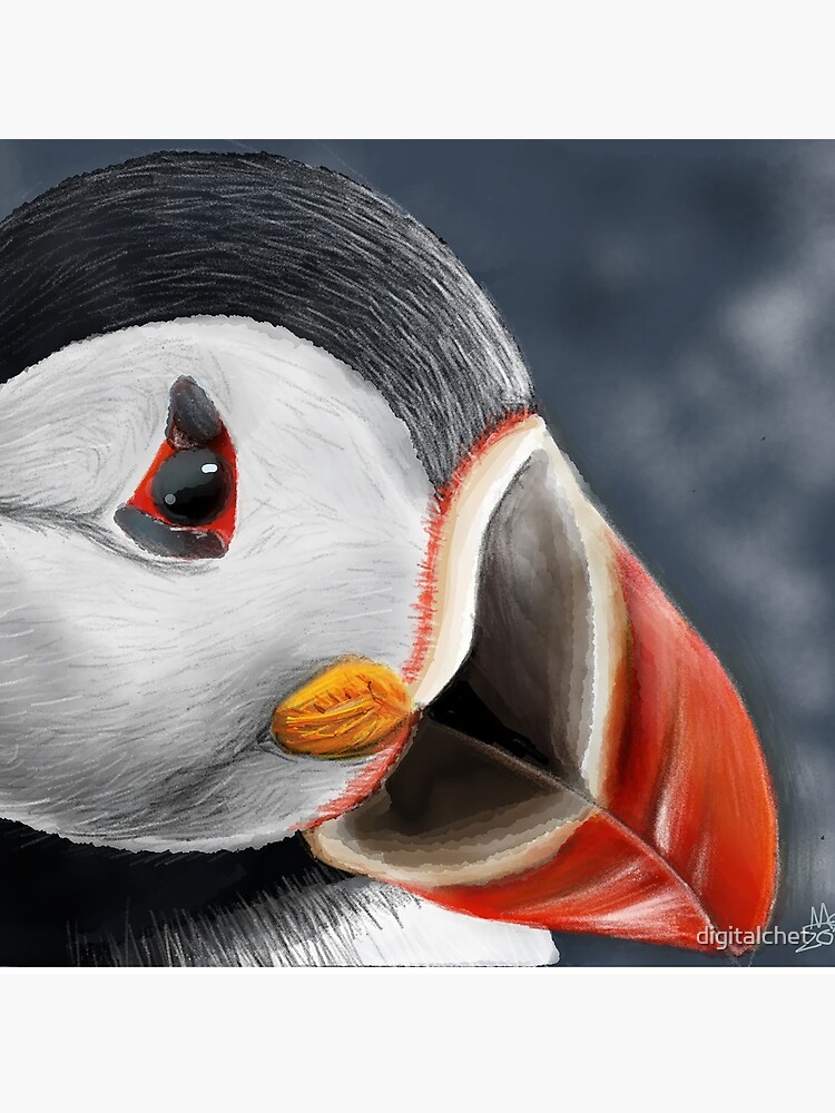 Puffin by digitalchet