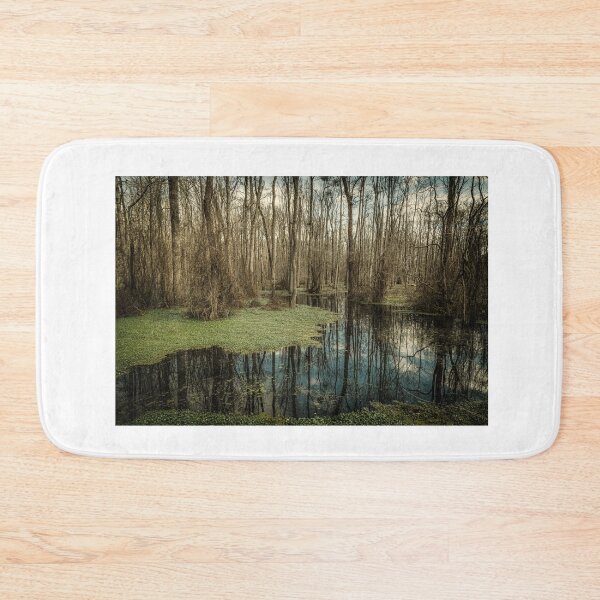 Item preview, Swamp in Southeastern Georgia designed and sold by GestaltImagery.
