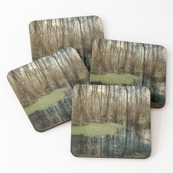Item preview, Swamp in Southeastern Georgia designed and sold by GestaltImagery.