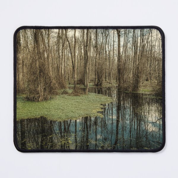 Item preview, Swamp in Southeastern Georgia designed and sold by GestaltImagery.