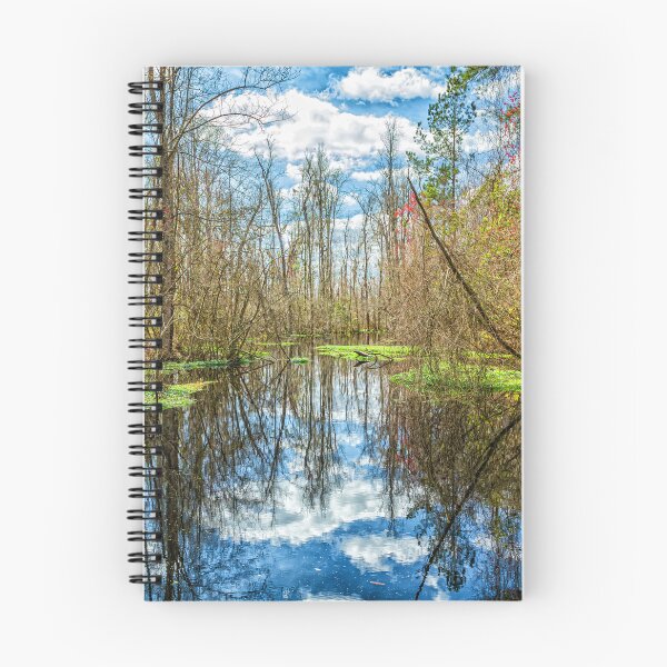 Item preview, Swamp in Southeastern Georgia designed and sold by GestaltImagery.