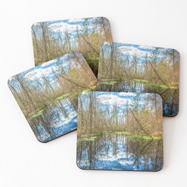 Item preview, Swamp in Southeastern Georgia designed and sold by GestaltImagery.