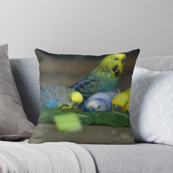 Item preview, Feeding budgies designed and sold by ndarby1.