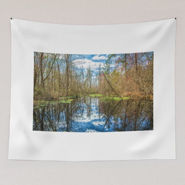 Item preview, Swamp in Southeastern Georgia designed and sold by GestaltImagery.
