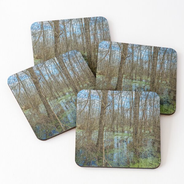 Item preview, Swamp in Southeastern Georgia designed and sold by GestaltImagery.