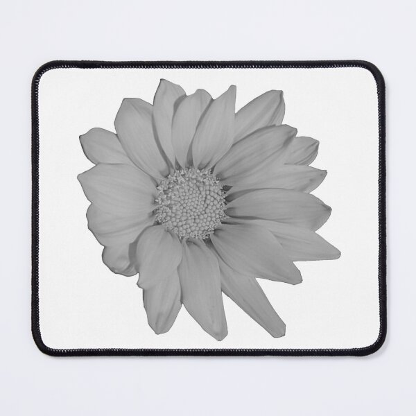 Item preview, Heliopsis Hellianthoides (Smooth Oxeye) Vanilla designed and sold by PLANTONE.