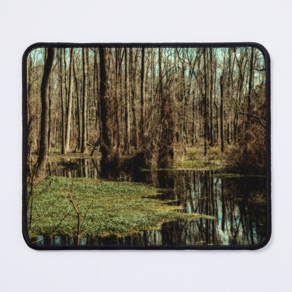 Item preview, Swamp in Southeastern Georgia designed and sold by GestaltImagery.