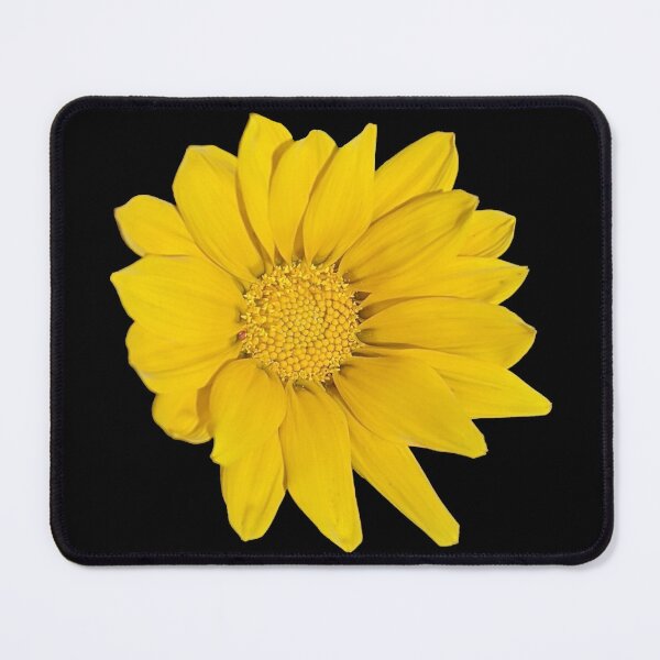 Item preview, Heliopsis Hellianthoides (Smooth Oxeye) designed and sold by PLANTONE.