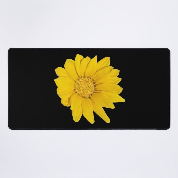 Item preview, Heliopsis Hellianthoides (Smooth Oxeye) designed and sold by PLANTONE.
