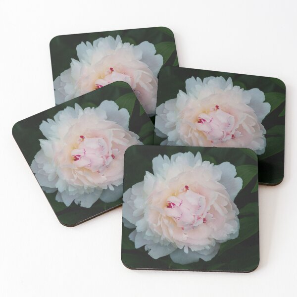Item preview, Paeonia lactiflora designed and sold by Matsumoto.