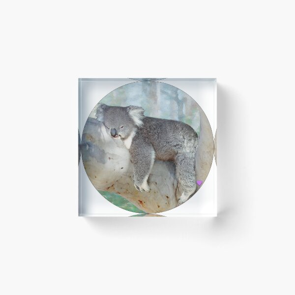 Item preview, Hang in THERE, koala hanging in there designed and sold by Trish Hart.