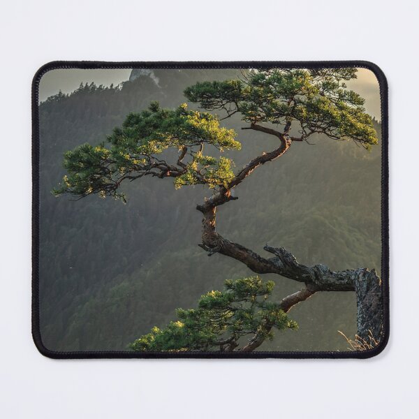 Item preview, Mountain Pine Tree designed and sold by MorningFive.
